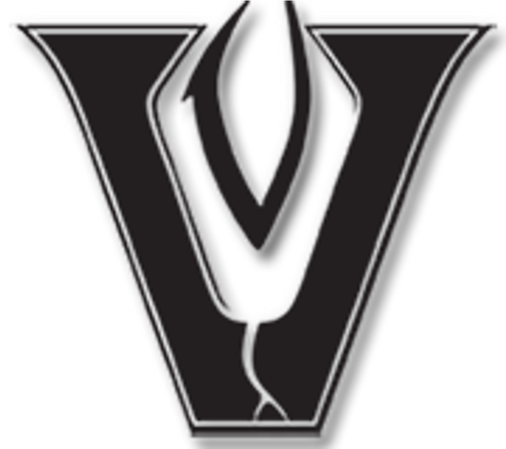Vandegrift Vipers On K-mac Sports - Vandegrift High School Logo (1024x900), Png Download