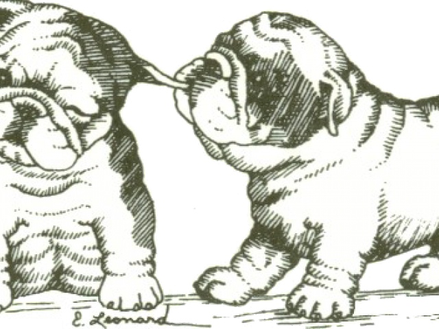 Bulldog Clip Art (640x480), Png Download