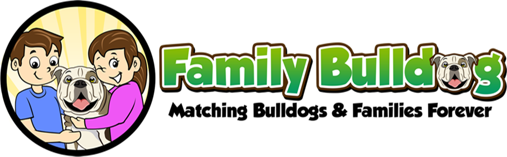 Graphic Design (1000x310), Png Download