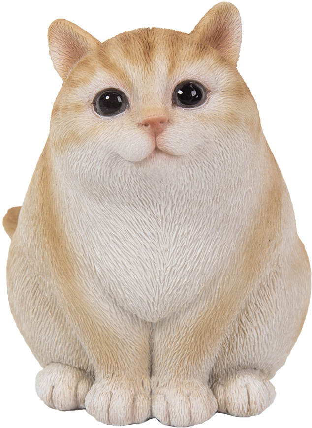 Cute Kitty Cats - Cat (1000x1000), Png Download