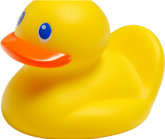 Rubber Duck Png - Bad Eend (640x480), Png Download