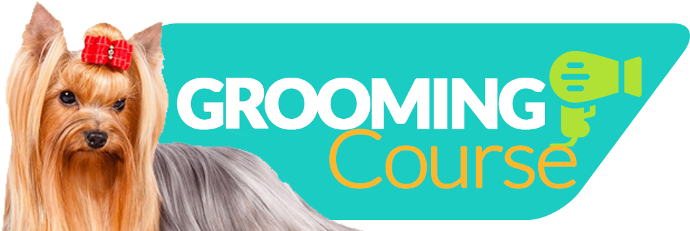 Null - Girl (1084x395), Png Download