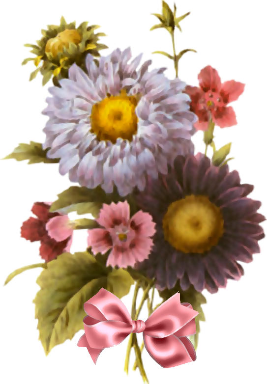 Tube-flores Bouquet De Flores - Tube E Gifs De Flores (543x782), Png Download