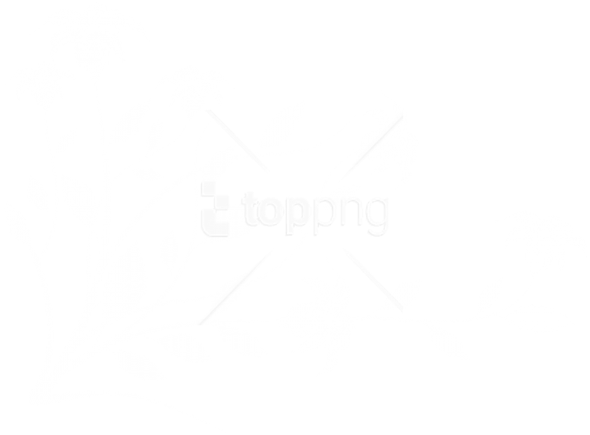 Free Png Floral Decoration Png Images Transparent - Illustration (850x625), Png Download