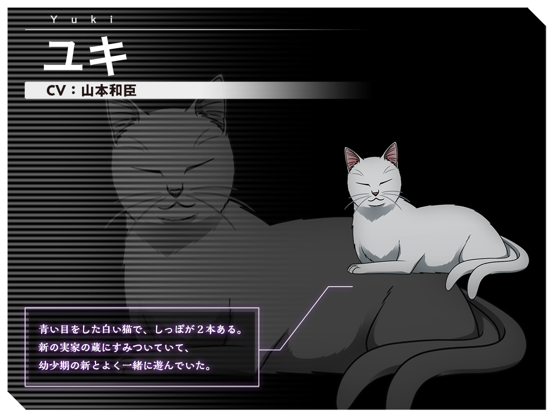 Download Yuki Image - Devon Rex (1100x985), Png Download