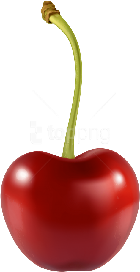 Download Cherry Clipart Png Photo - Cherry Png (480x934), Png Download