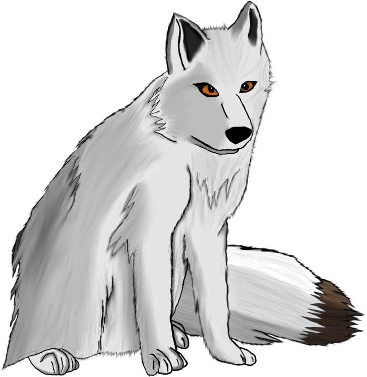 Image - Arctic Gray Wolf Drawing (900x1238), Png Download