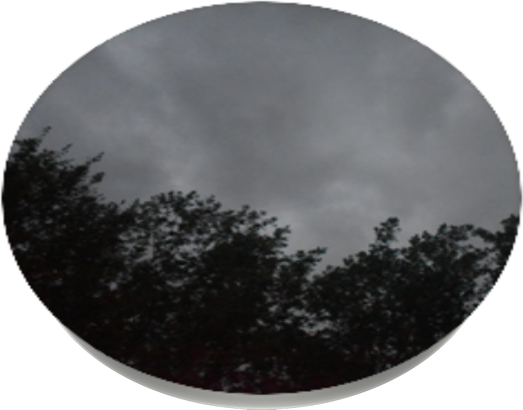 Dark Night, Popsockets - Christmas Tree (989x1000), Png Download