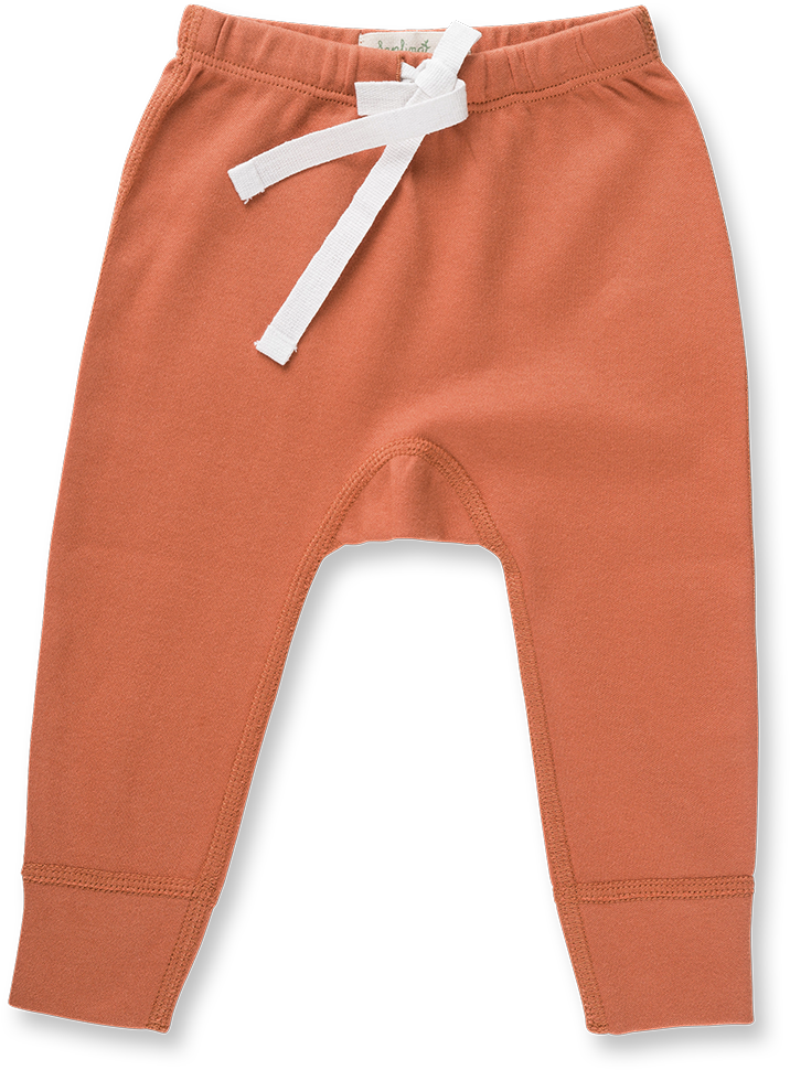 Fox Brown Pants - Pocket (1079x1079), Png Download