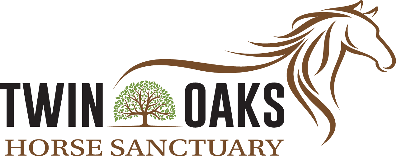Logo - Illustration (1275x501), Png Download