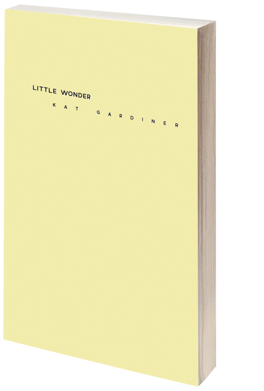 3dlittlewondercover Noshadow (1000x1373), Png Download