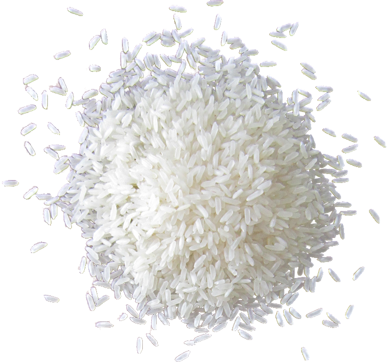 Riz - Grain De Riz Png (777x724), Png Download