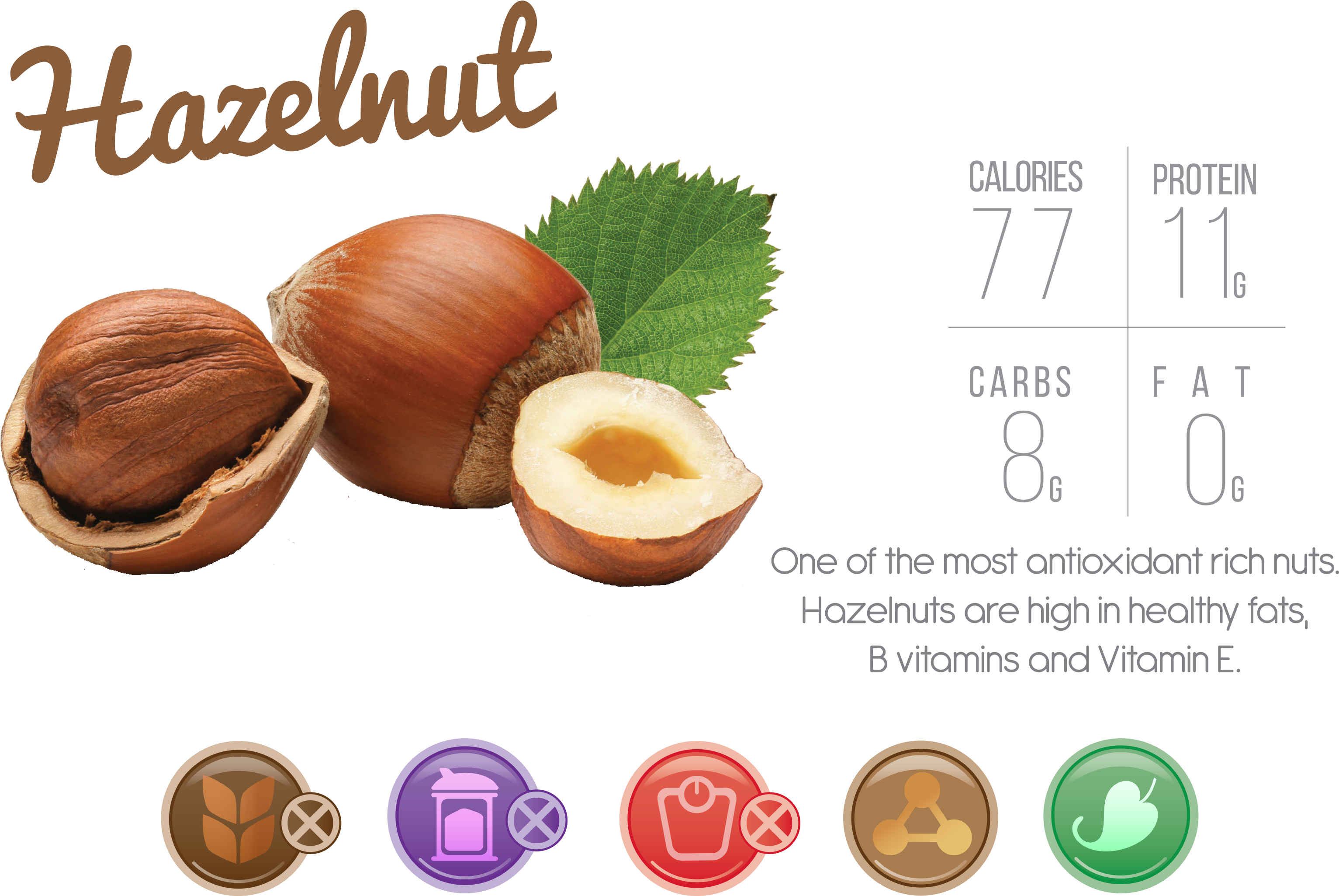 Body Needs And Everything Your Tastebuds Want - Hazelnut (3307x2362), Png Download
