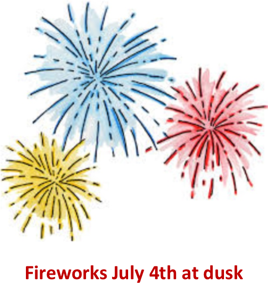 Fireworks - ‹ - New Year Fireworks Cartoon (597x613), Png Download