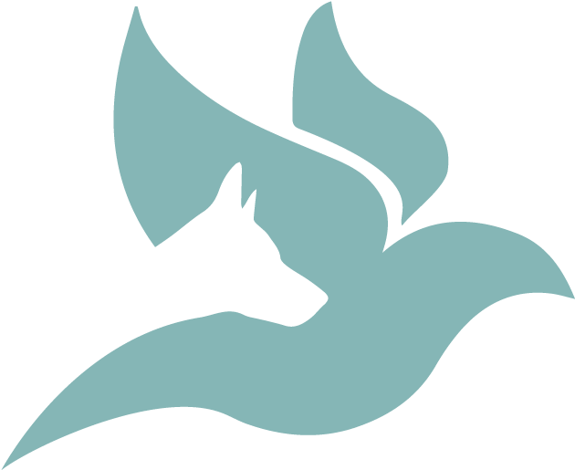 Rajia (834x834), Png Download