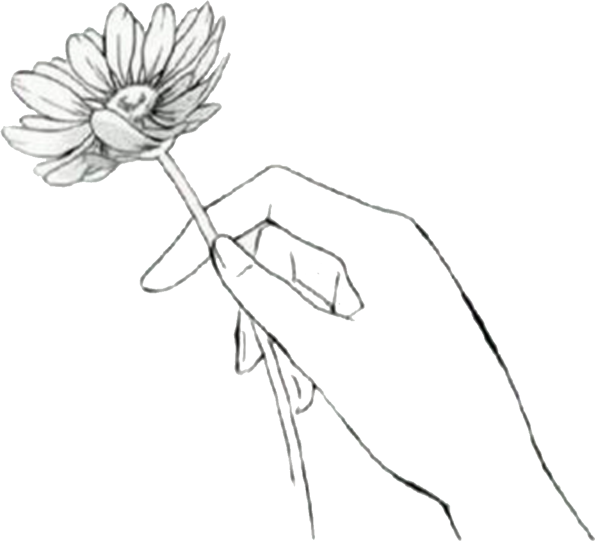 Drawn Manga Black And White Anime - Flower In Hand Drawing (1339x1162), Png Download