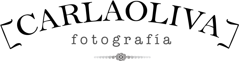 Header Logo - Human Action (1024x330), Png Download