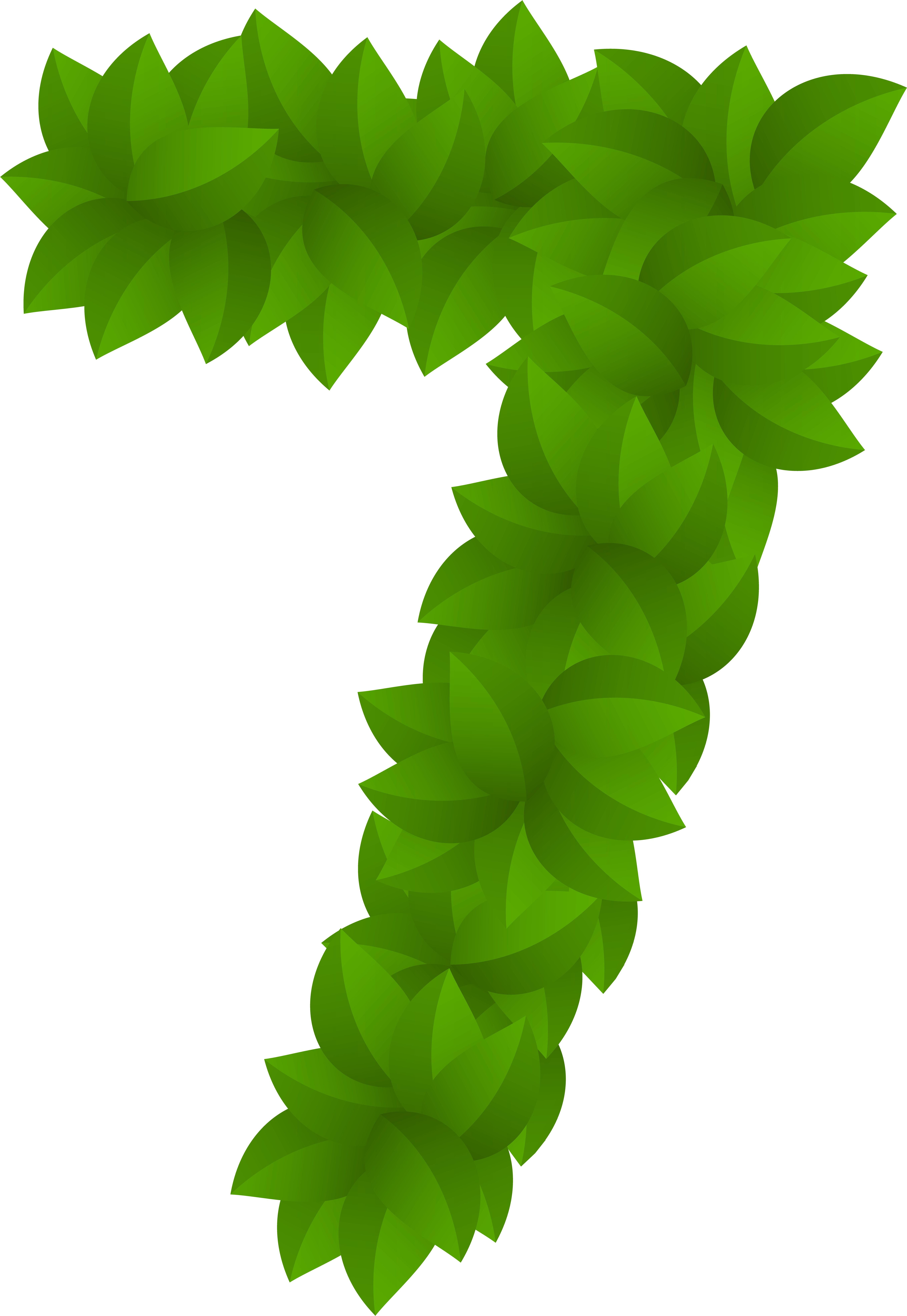 Green Christmas Bow Png (5518x8000), Png Download