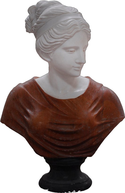 Home / Busts / Busts - Bust (900x900), Png Download