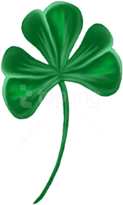 Free Png Download Shamrock Png Images Background Png - Shamrock (480x735), Png Download
