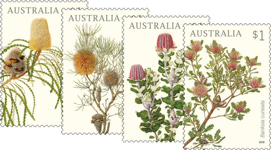 Set Of Banksias Stamps - Australian Postage Stamps 2018 (970x545), Png Download