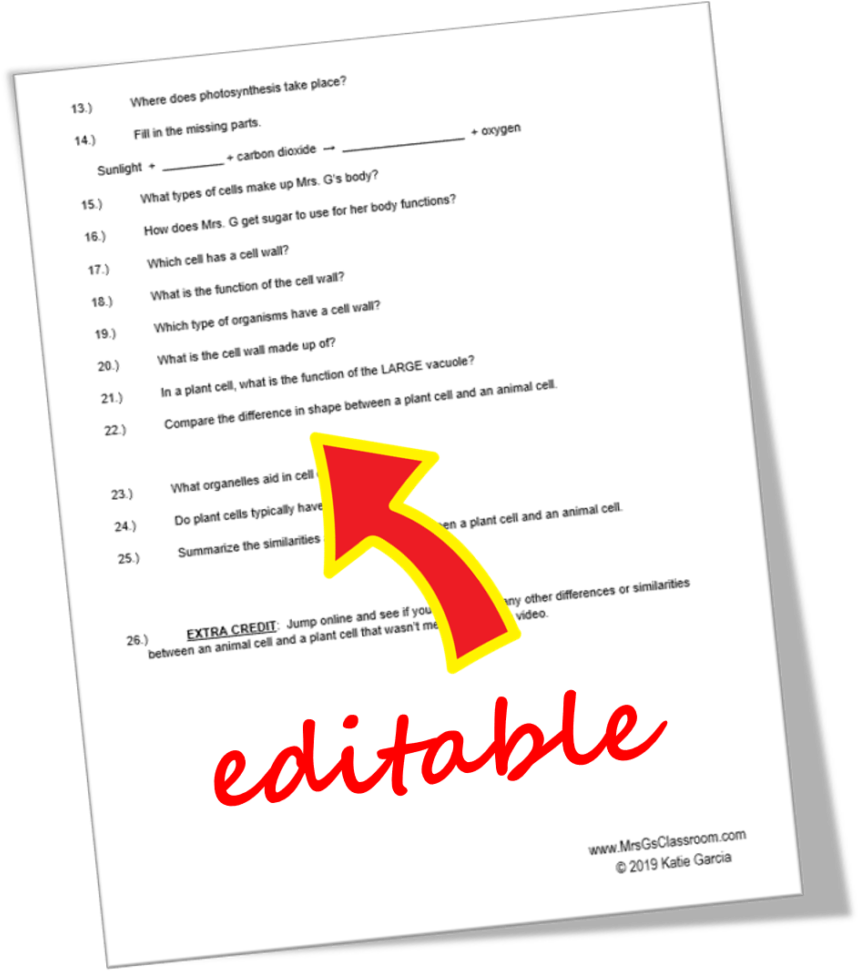 The Video Notes & Venn Diagram Are In A Microsoft Word - Cotton Candy (887x1024), Png Download