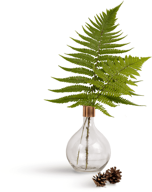 Thumbnail - Vase (570x630), Png Download