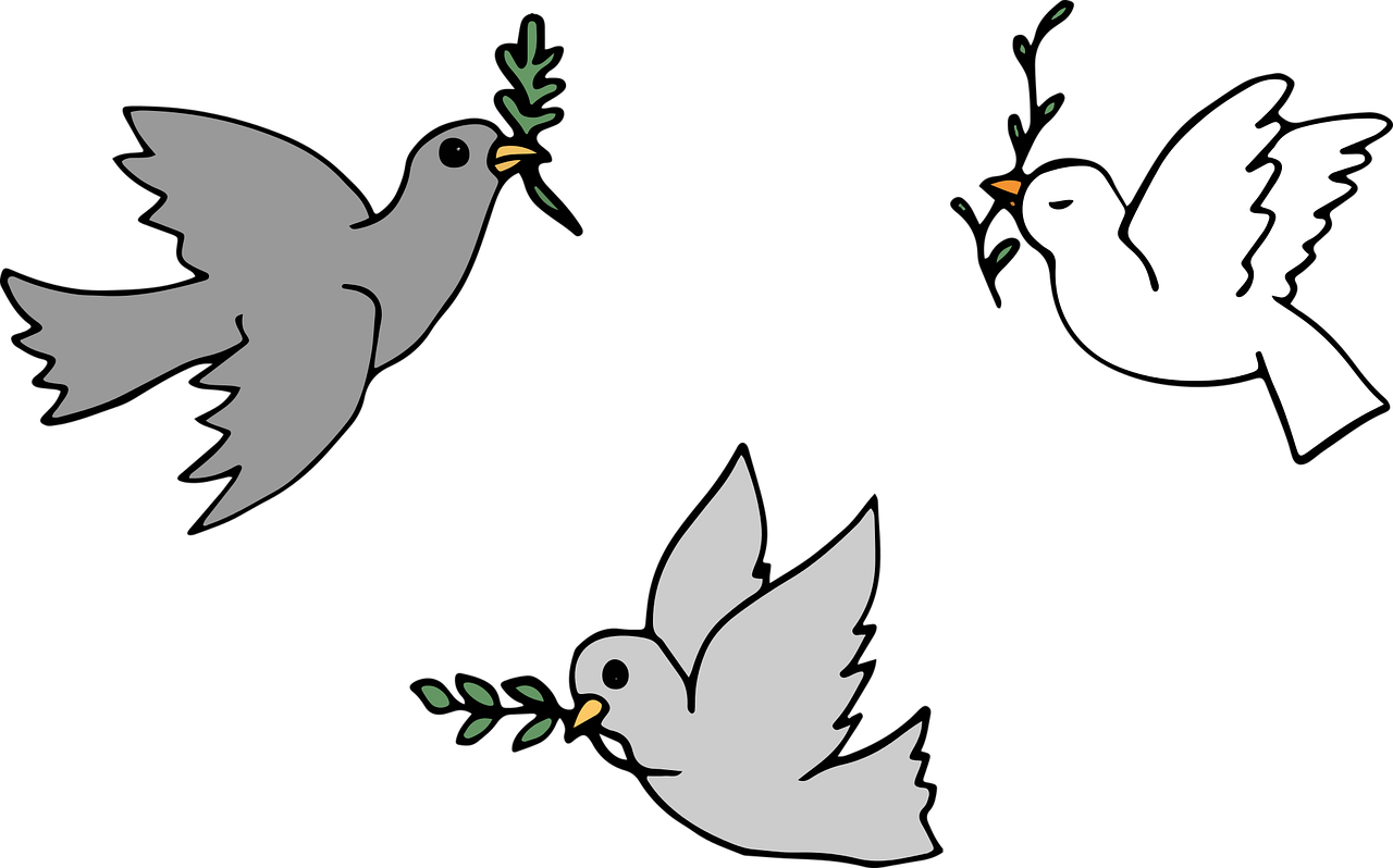 Vector Graphics, - Religion Bird (1280x798), Png Download