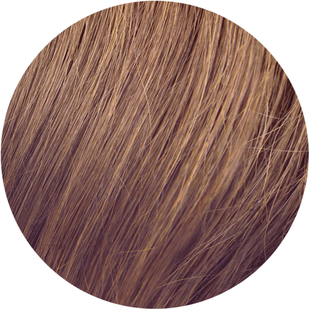 Sach Hair Extensions Color Chart 650x V=1523266514 - Lace Wig (650x658), Png Download