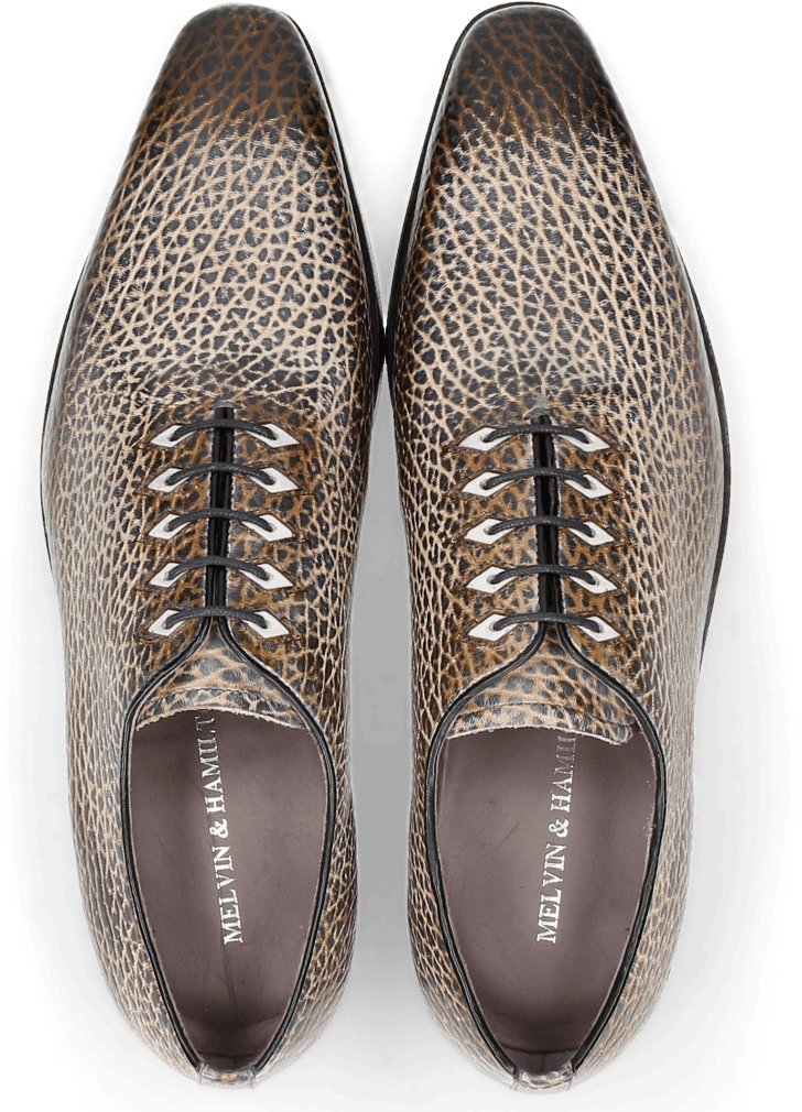 Oxford Shoes Lance 28 Brazil Satelite Binding Navy - Sneakers (1024x1024), Png Download