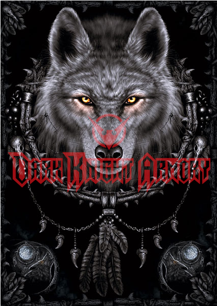 Gray Art Wolf Allposters - Native American Wolves Dreamcatchers (600x600), Png Download