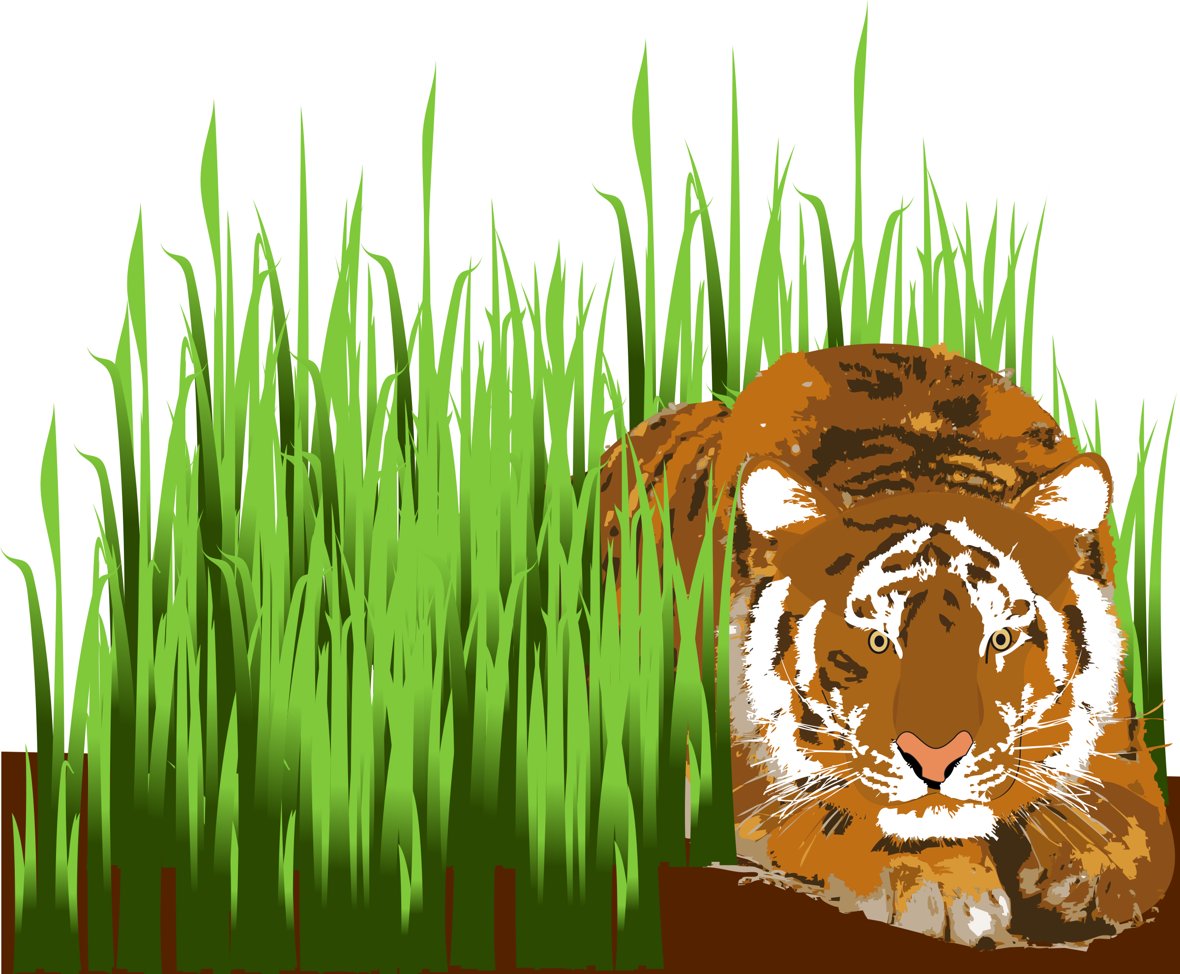 Big Image - Tiger In Grass Clip Art (2400x1980), Png Download