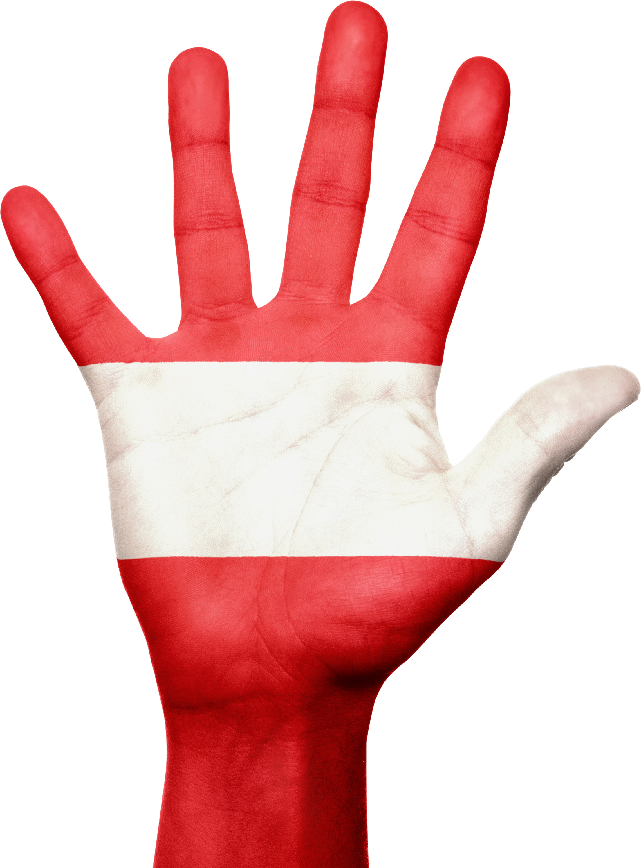 Austria Flag Hand National Fingers 987040 - Austria Flag Hand (2209x2987), Png Download