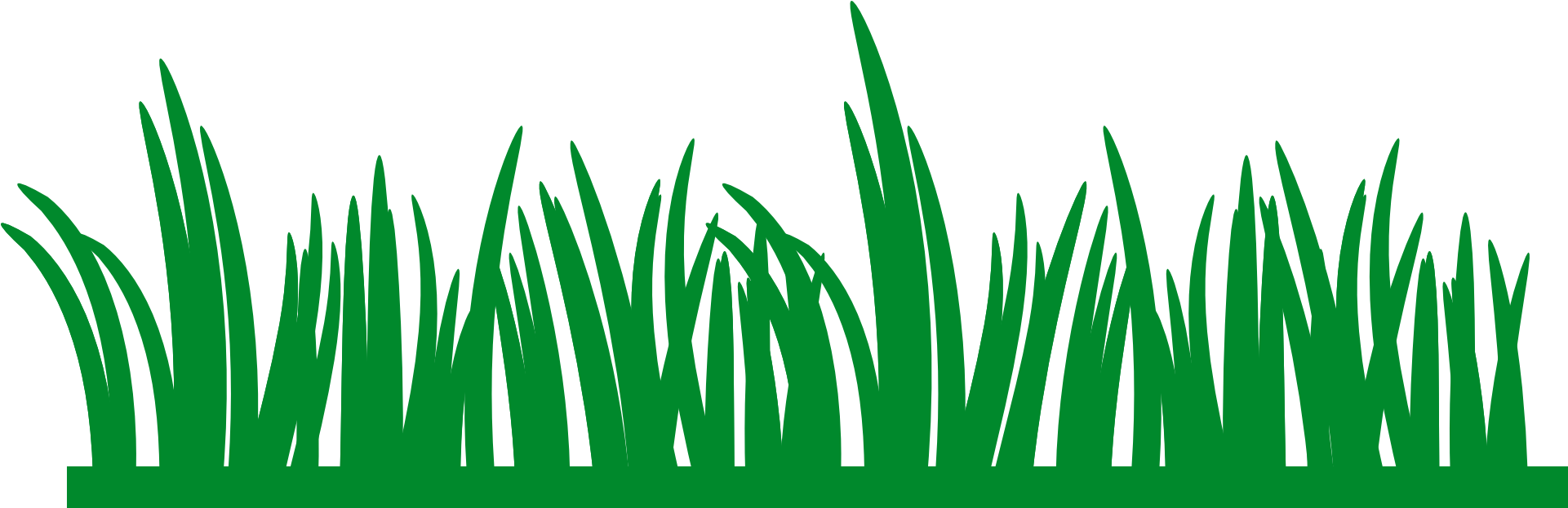 Grass check