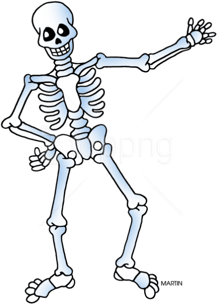 Free Png Download Free Skeleton Public Domain Halloween - Skeleton Clipart (480x644), Png Download