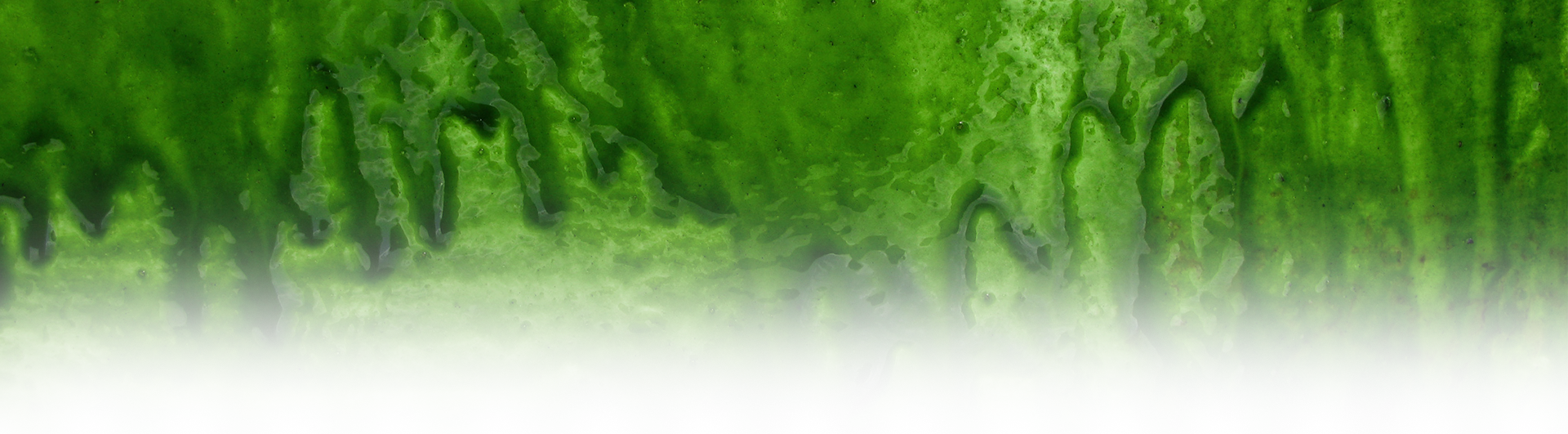 Goosebumps - Chlorophyta (1920x531), Png Download