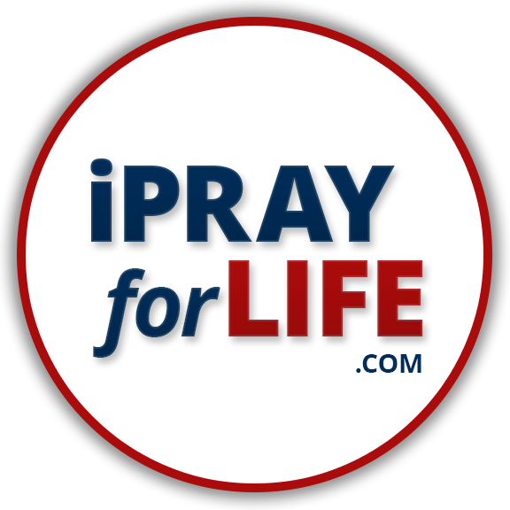 Circle (576x576), Png Download