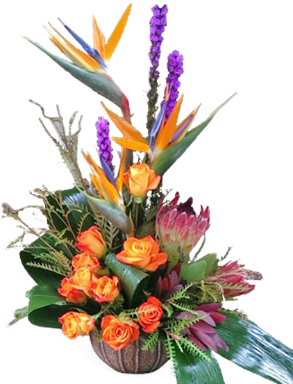 Tropical Garden - Bird Of Paradise (600x600), Png Download