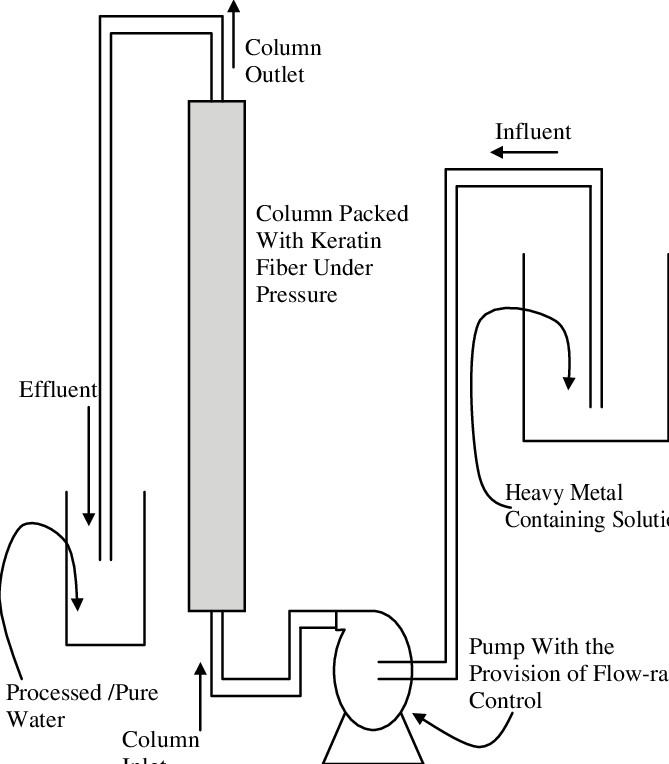 Schematic Of The Continuous Column For Heavy Metals' - Diagram (669x764), Png Download