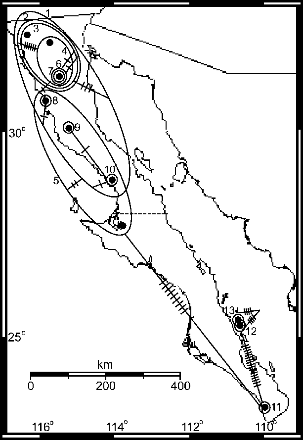 Haplotype Network Superimposed Over The Geography Of - Diagram (613x889), Png Download