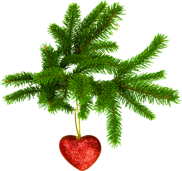 Adornos De Corazon Para Navidad - Christmas Tree Leaves Png (620x585), Png Download