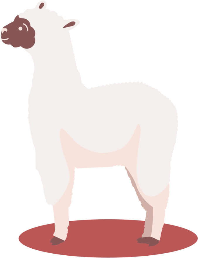 Lamas8-18 - Sheep (1000x964), Png Download