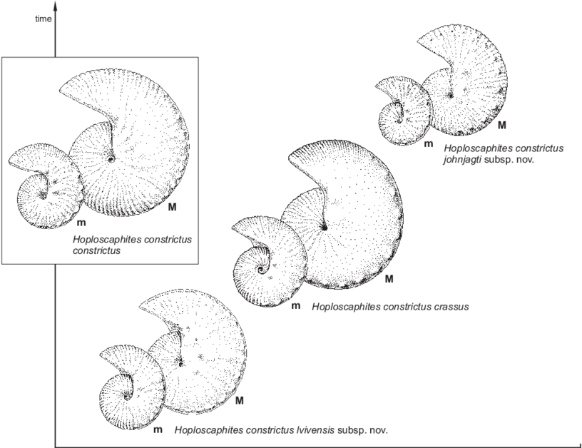 Paper And Sheets For - Line Art (850x627), Png Download