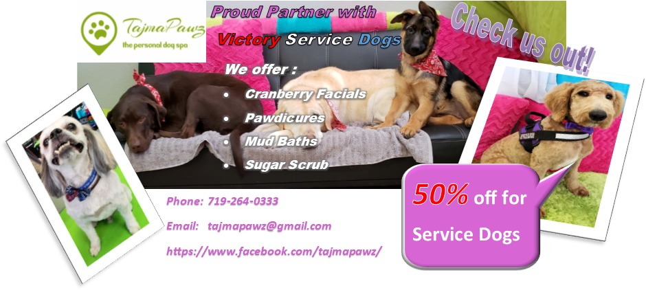 Our 2019 Sponsors - German Shepherd Dog (965x441), Png Download