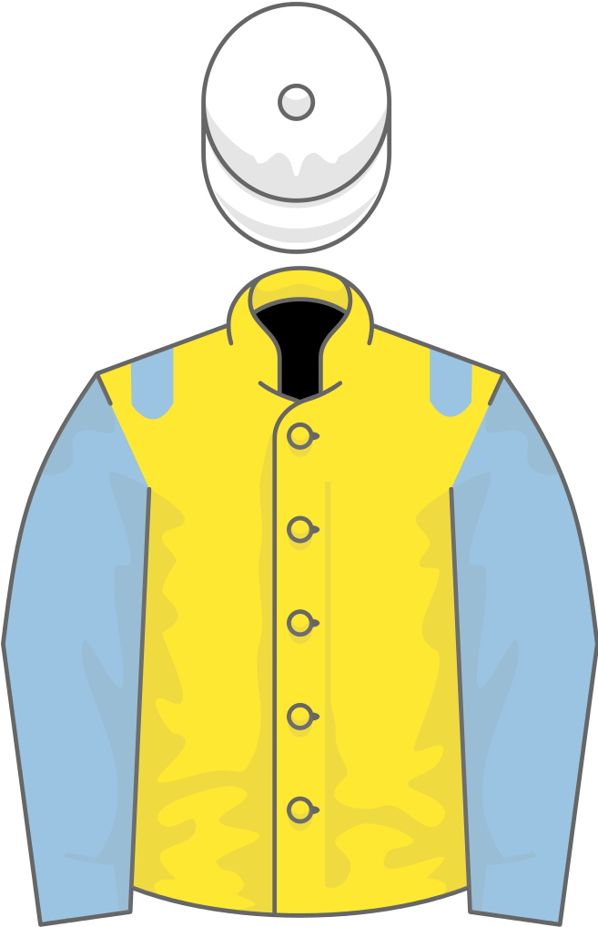 Owner C Leafe - Duke Of Devonshire Racing Colours (656x1024), Png Download