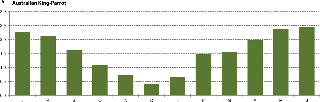 Injured - Black-and-white (1241x402), Png Download