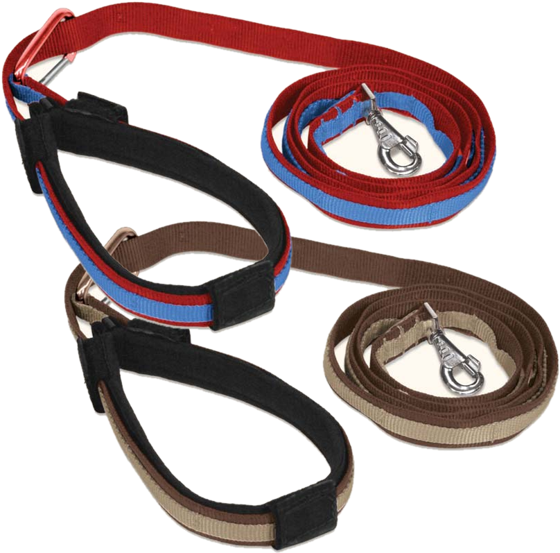 Kurgo Leash Colors - Belt (807x807), Png Download