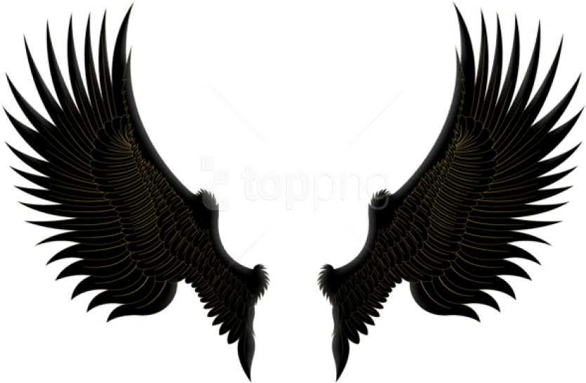 Free Png Download Black Gold Wings Clipart Png Photo - Black And Gold Wings (850x560), Png Download