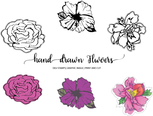 Hand Drawn Flowers - Rose (720x480), Png Download