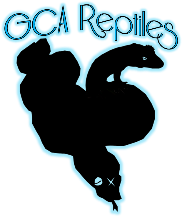 Illustration (638x758), Png Download